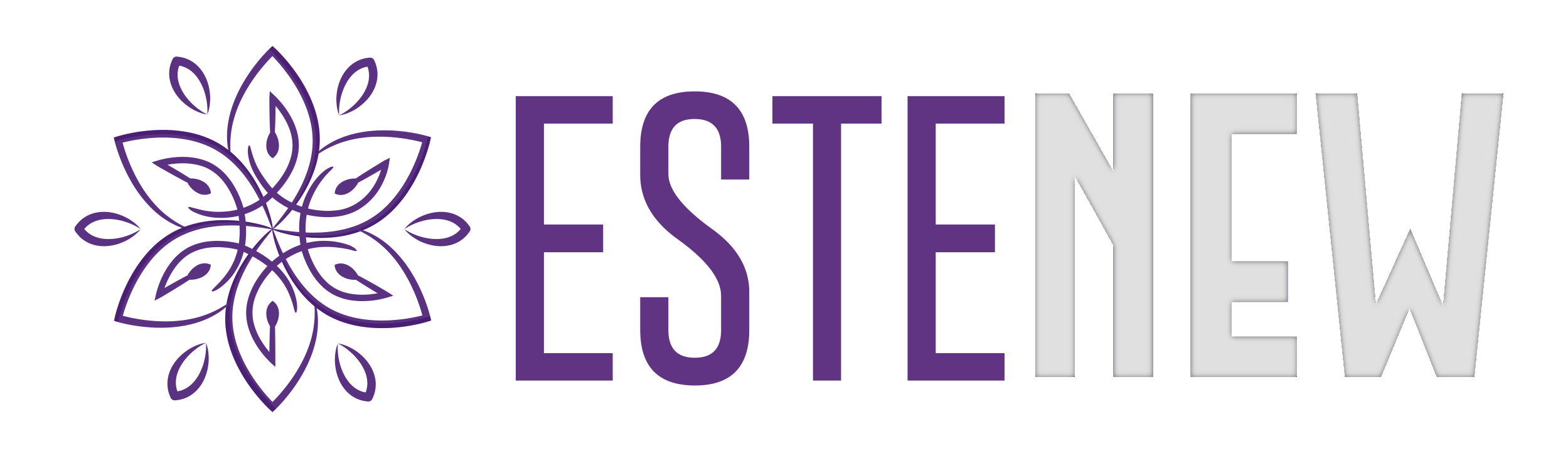 Estenew Estenew
